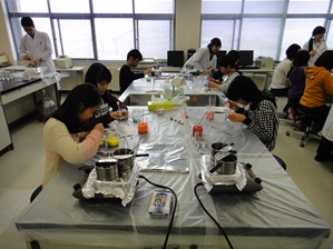 選択D.JPG