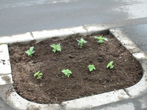 20120611_3.JPG