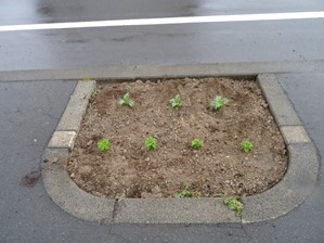 20140610_5.jpg