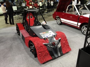 ecocar1.jpg