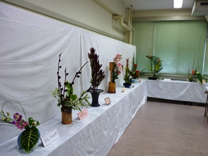 festa02.jpg