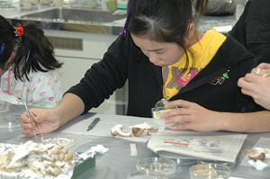 20090115_8.jpg