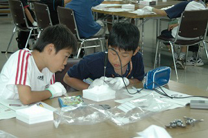 20090819-3.jpg