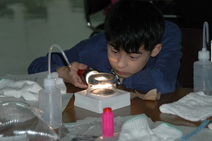 20090819-6.jpg