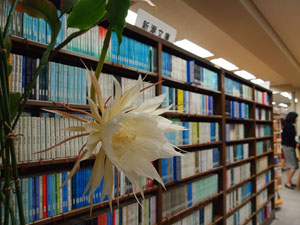 20110713_1.JPG