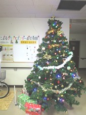 tree1-1.jpg